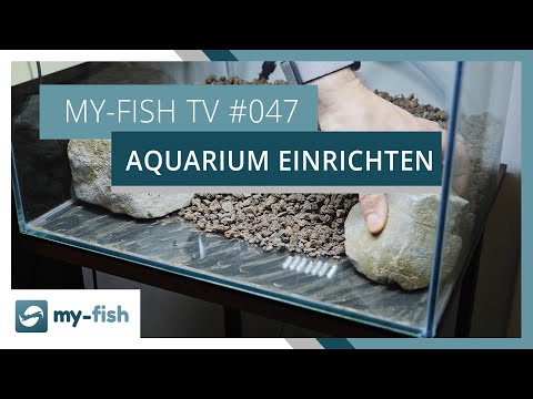 Ein neues Aquarium einrichten | my-fish TV